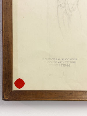 Vintage 1930's Female Nude Figure Study – Architectural Association Life Drawing 1935–36